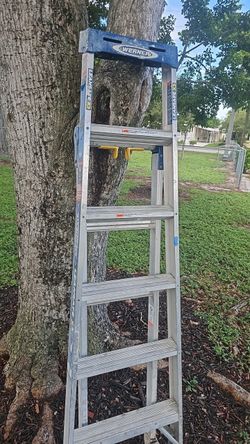 Werner Aluminum Step Ladder