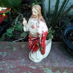 Plants En  Sagrado Corazon