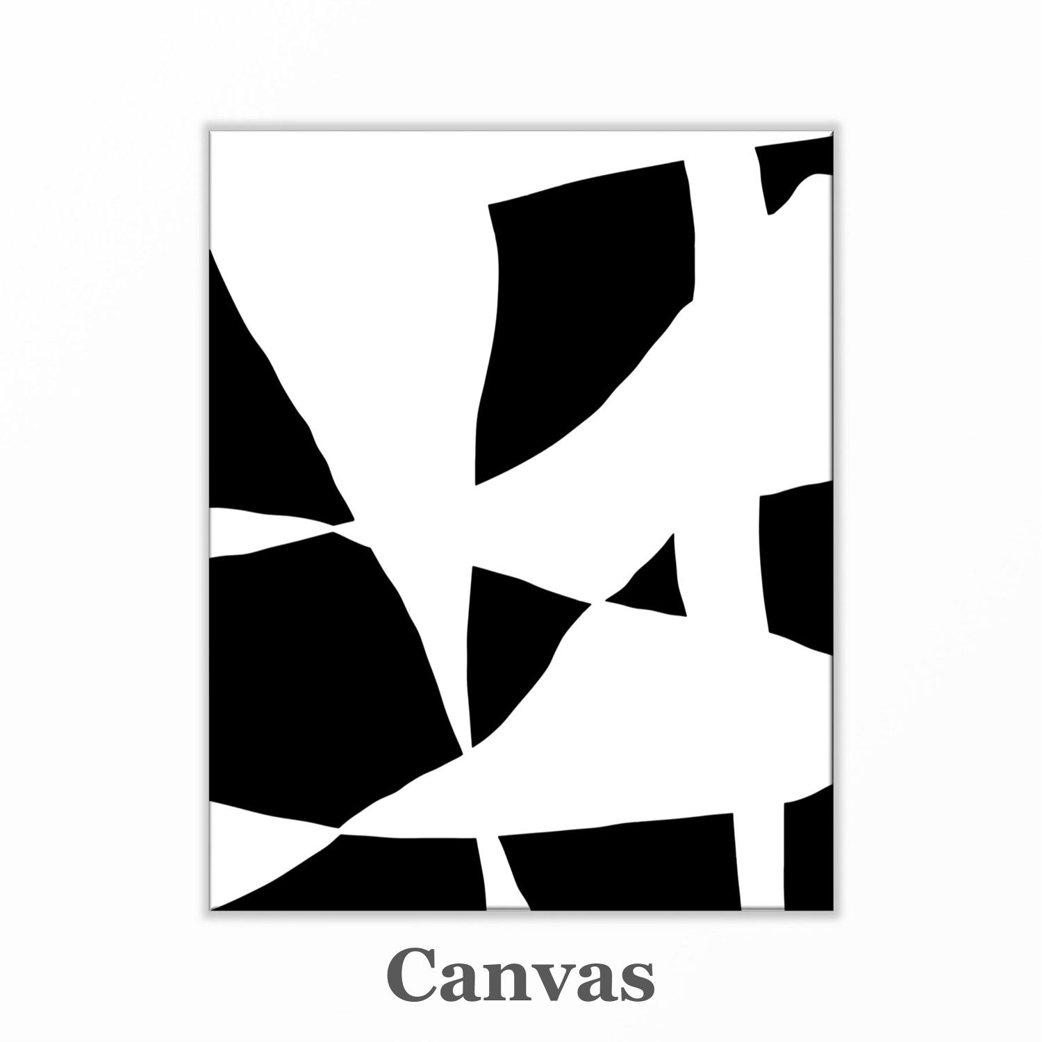 Black and white abstract canvas wall art print