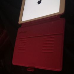 IPAD CASE X2