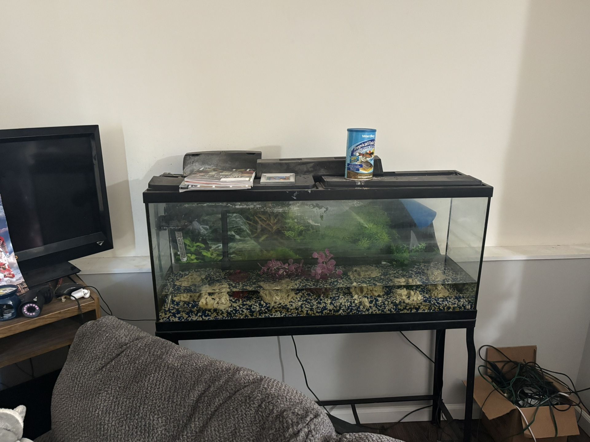 Fish Tank