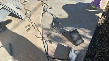 Outdoor String Lights with Bulbs