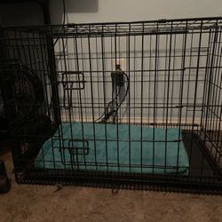 Dog Crate