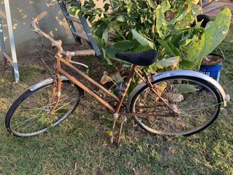 Vintage Bicycle (By Brand Schwinn)