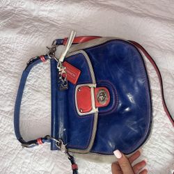 Coach Limited Edition Crossbody/handbag