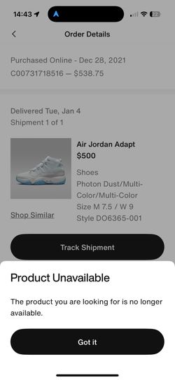Air Jordan Adapt 
