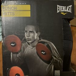 EVERLAST Boxing & MMA Punching Mitts