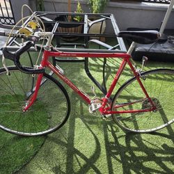 Red Racing Bicycle (Used)