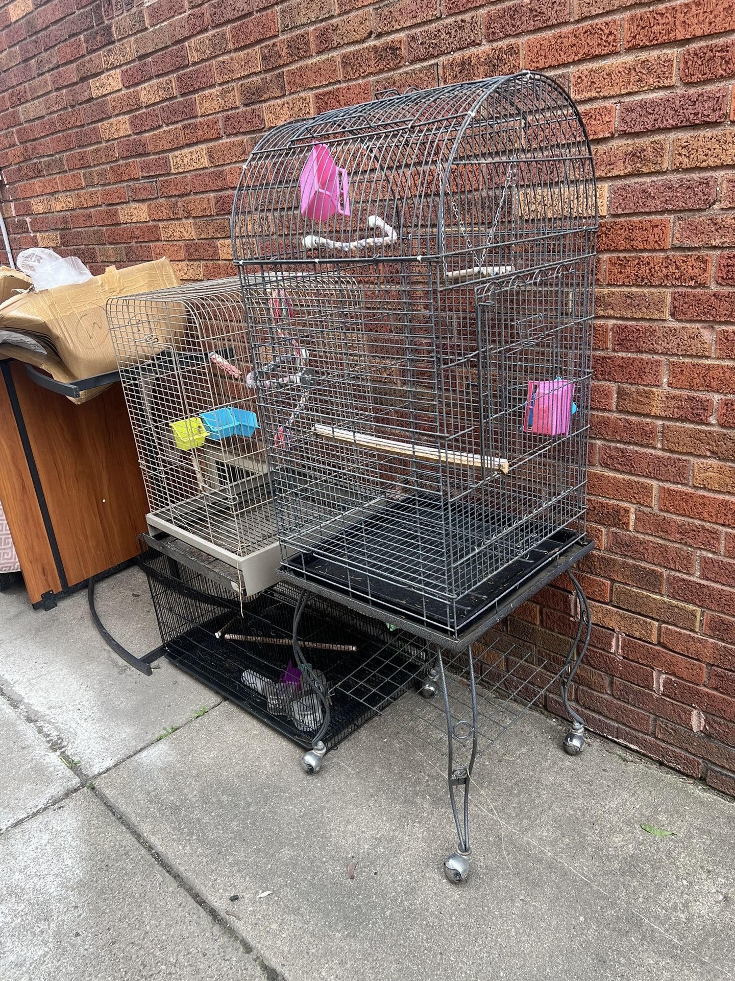 Bird Cage