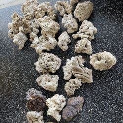 Live Rock For Aquarium 