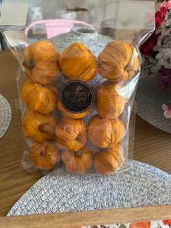 Small decorative pumpkins