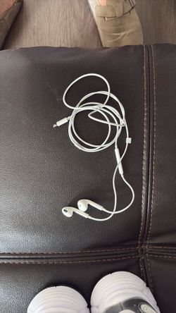 Apple headphones wired