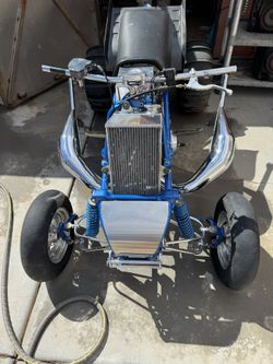 421 Cheetah Cub 2001