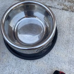 Extra Small For Dogs 🐕 