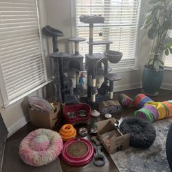 Complete Cat Setup – Cat Tree, Litter Box, Beds, Toys & More 