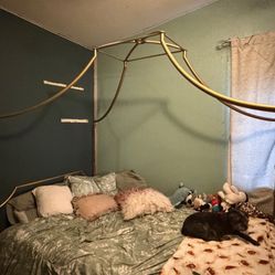 Gold Canopy bed 
