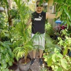 Large Areca Palm 7 Gallon Pot
