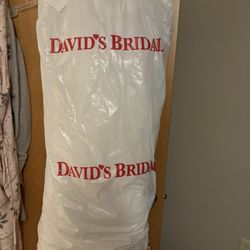 Wedding Dress Size 22 NWT White From David’s Bridal 