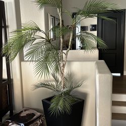 Artificial Palm Plant