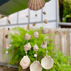 Seashells Chandelier (Handmade)