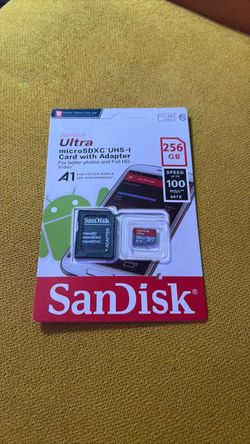 Sandisk 256g SD card