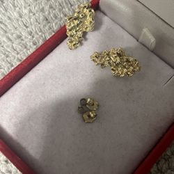 Nugget Earrings 