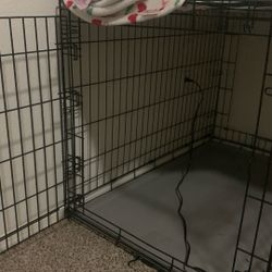 Dog Cage 