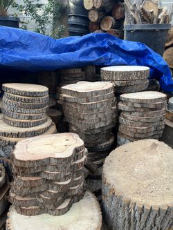 *Unique Wood Slices/ Different Shapes/ Round Slices*