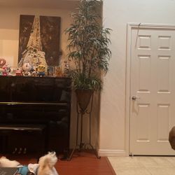 Home Decor  9 Feet Tall  Fake Plant