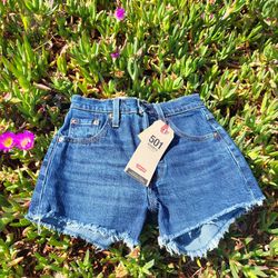 Levi's Strauss & Co Shorts Size 23