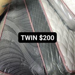 Twin Set 