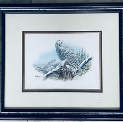 Snowy owl with artist signature and numbered