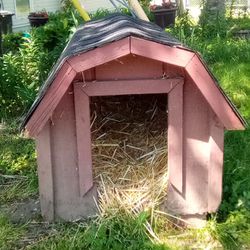 Small Dog Cat House