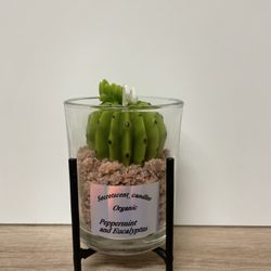 Vela Aromática Orgánica 