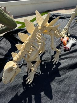 Med Stegosaurus Skeleton Halloween Decoration