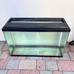 29 Gallon Fish Tank