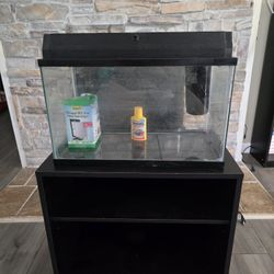 20 Gallon Fish Tank