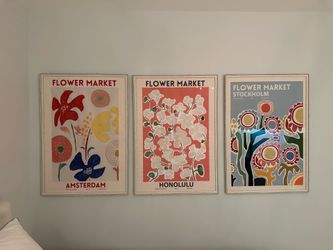 Framed Print Collection