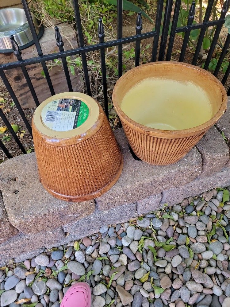 2 Flowers Pot