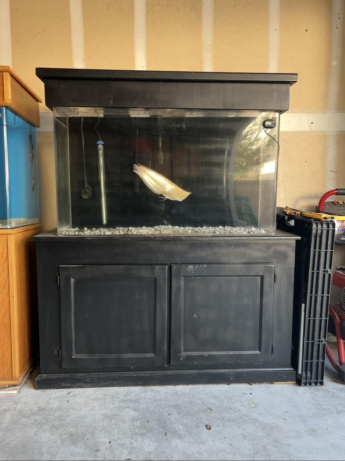 Thick Acrylic Fish Tank Aquarium 