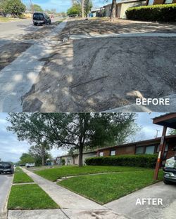 Sod Or Grass