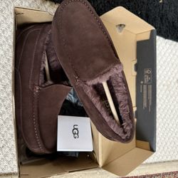 UGG Slippers