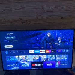 Like New 43 Inch Insignia Amazon Fire Flat Screen TV (missing Remote) 