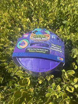 Viral Galaxy Mystery Dumpling