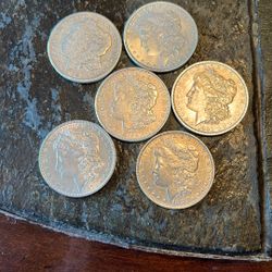 6- Silver Morgan Dollars- EXCELLENT GRADES LQQK! Very Cheap! 
