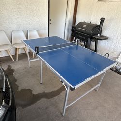 Ping Pong Table Mid Sized