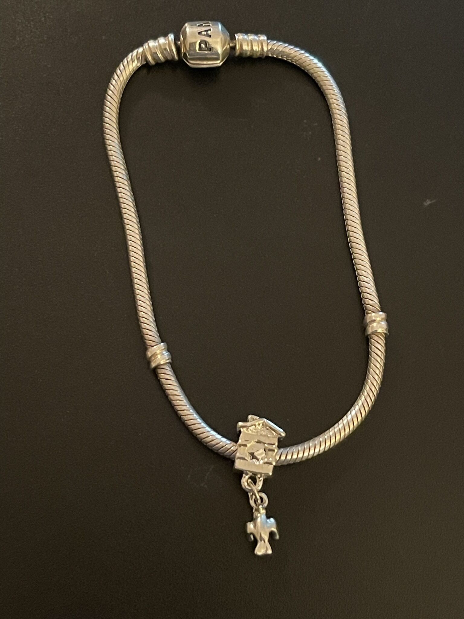 Silver Charm That Fits Pandora Bracelet