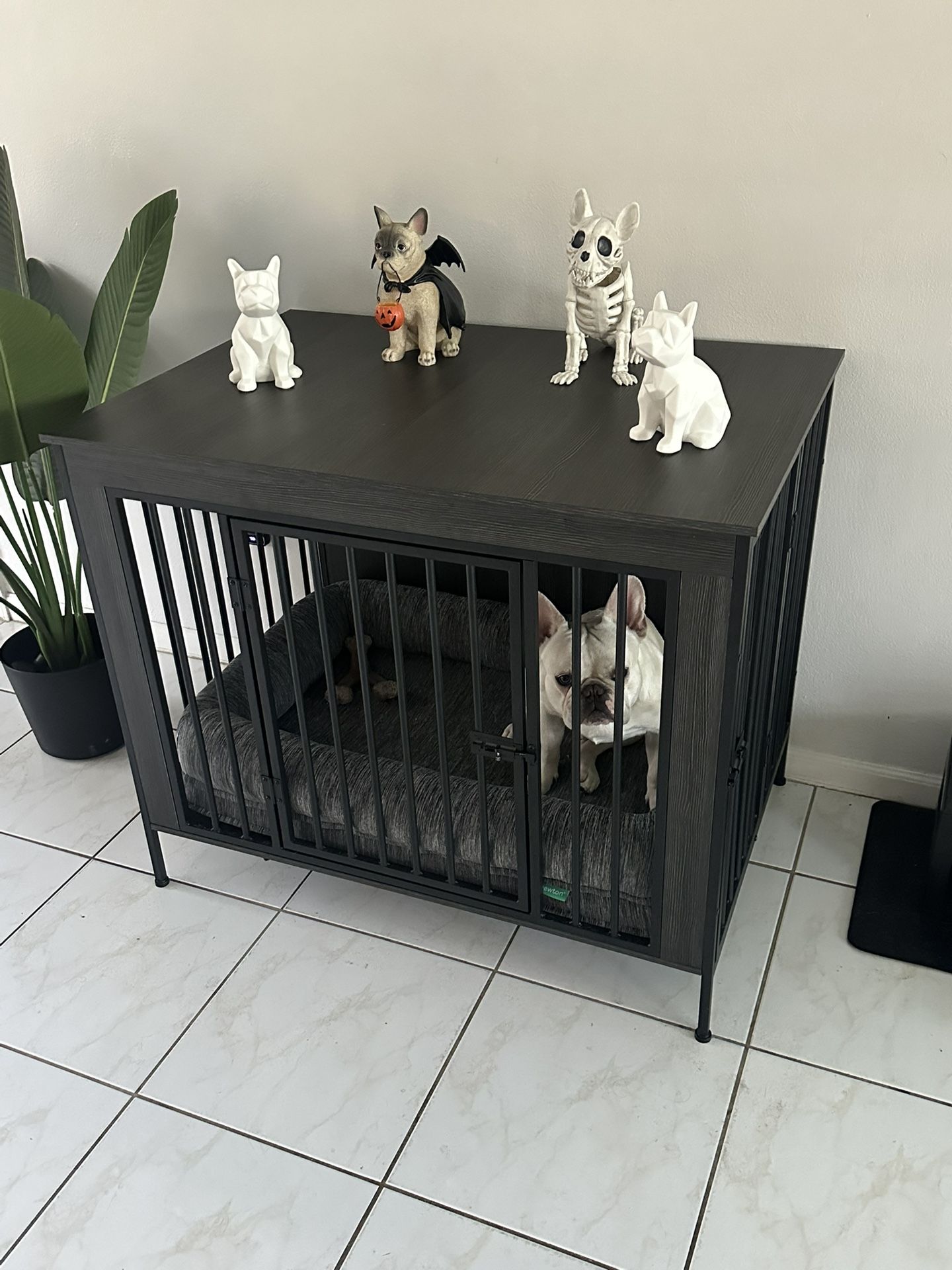 Dog cage
