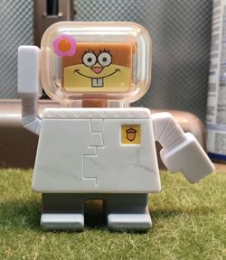 Burger King 2009 Sandy cheeks  squirrel Sponge Bob kids meal  (13)