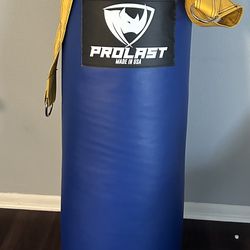80lb Professional Heavy Bag ProLast 